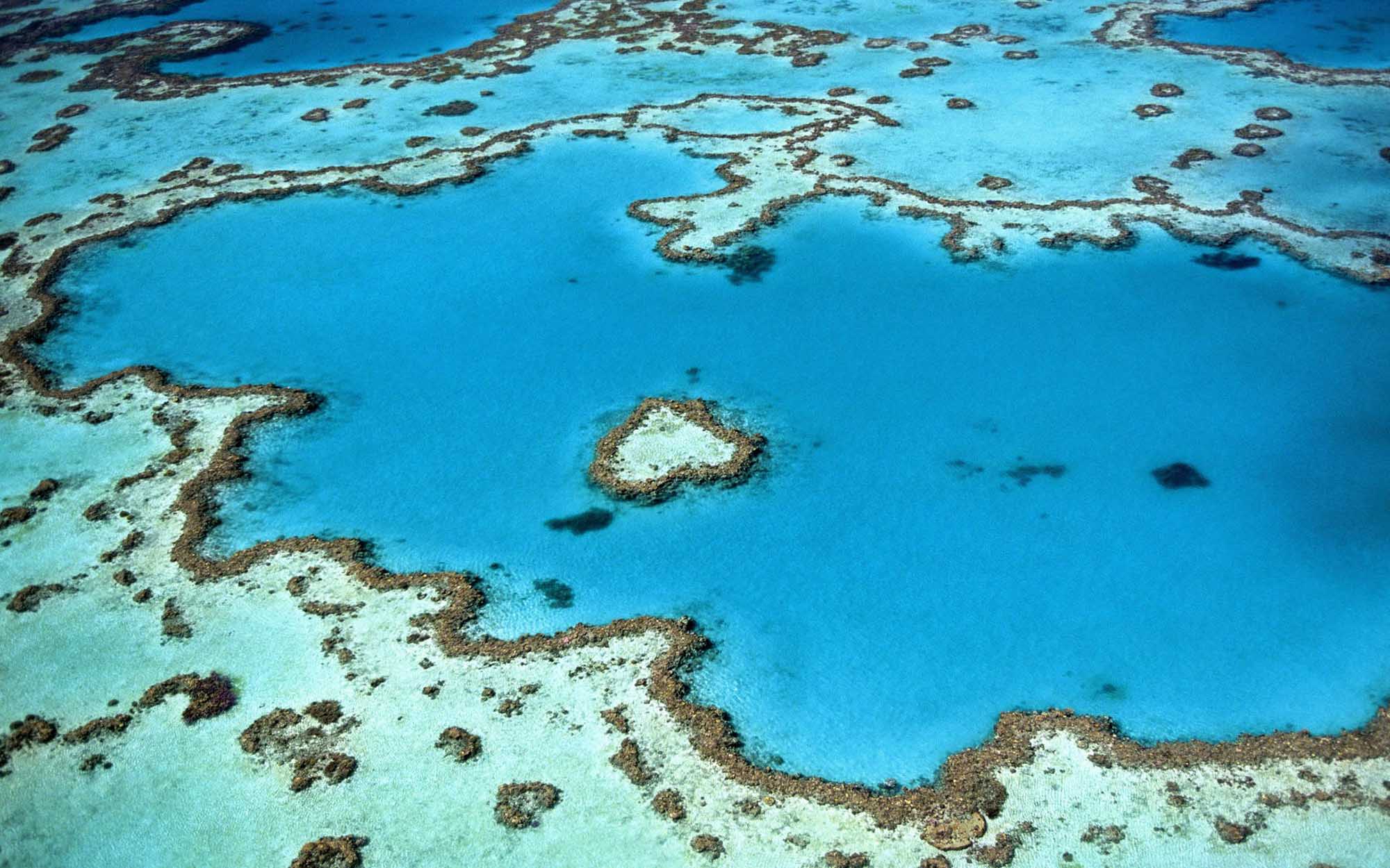 An aerial photograph showcasing the stunning turquoise waters and intricate coral formations of the Great Barrier Reef, with distinctive shallow lagoons separated by coral ridges and deeper blue channels characteristic of this World Heritage Site.