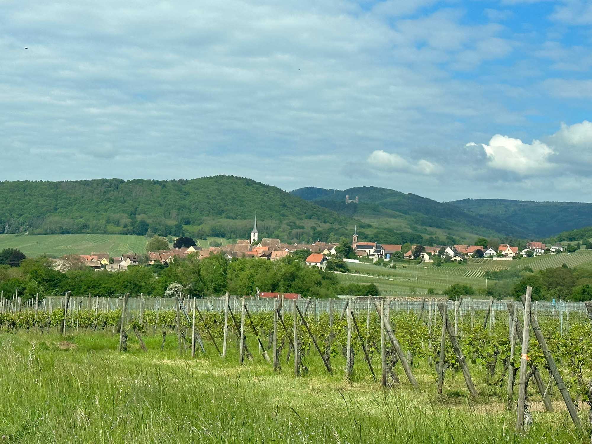 A scenic view of a traditional German wine village nestled in a verdant valley, with distinctive church spires rising above terracotta-roofed houses, surrounded by terraced vineyards on rolling hills under a partly cloudy sky.