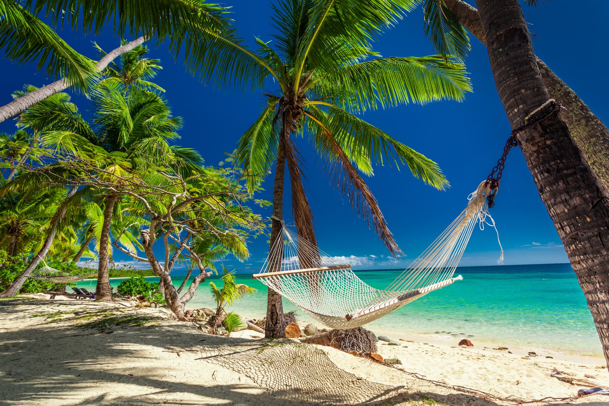 A serene tropical beach scene featuring a white mesh hammock suspended between two palm trees on pristine white sand, overlooking crystal-clear turquoise waters under a brilliant blue sky. The idyllic setting captures the essence of a perfect island paradise vacation destination.
