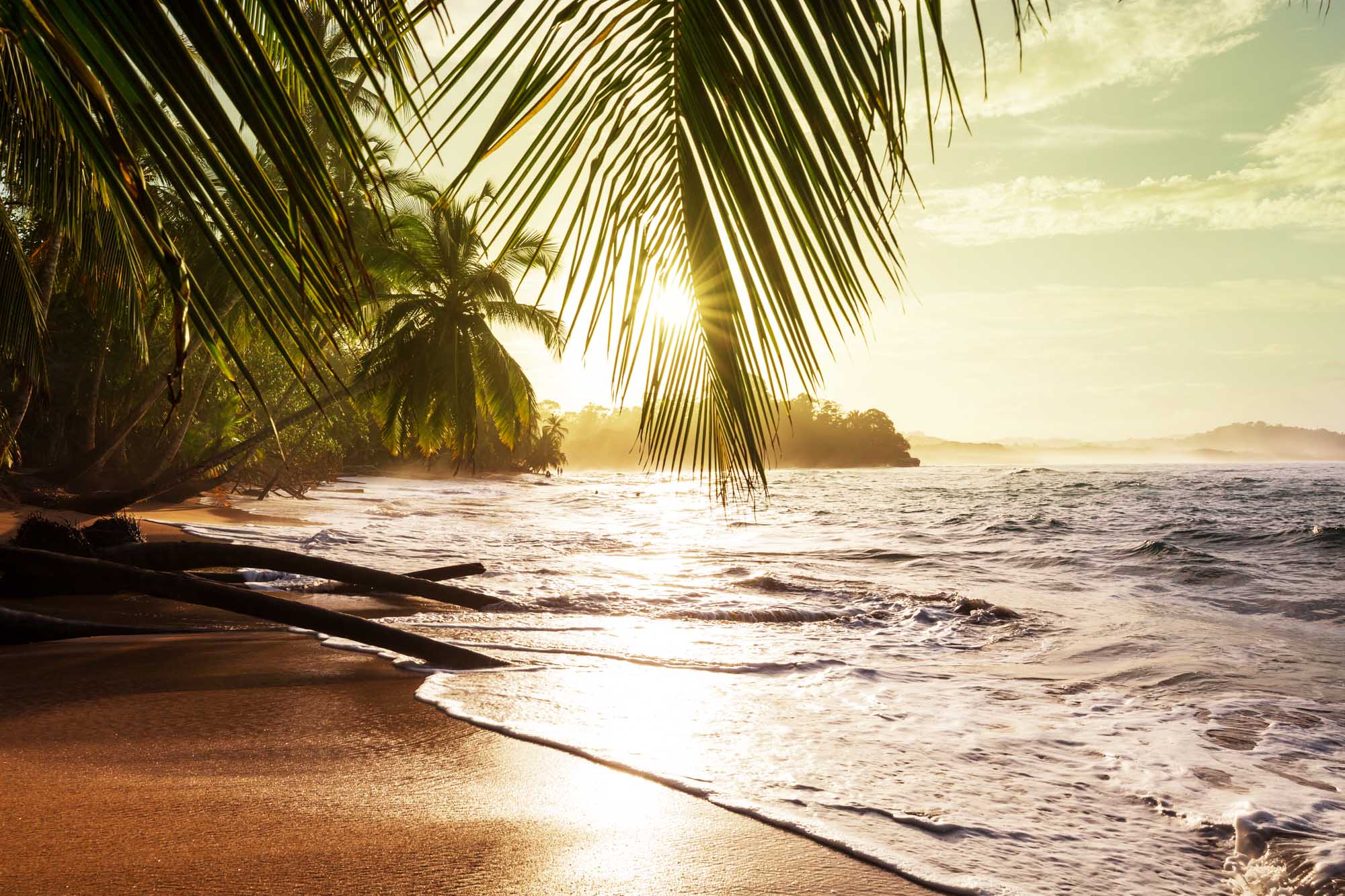 A serene tropical beach scene at golden hour, featuring overhanging palm fronds in the foreground framing gentle waves lapping against sandy shores with distant islands on the horizon.